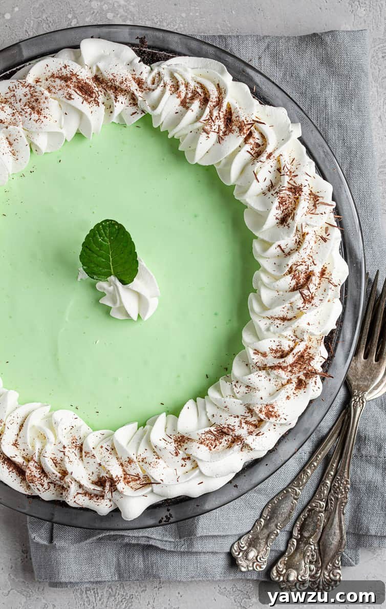 An overhead photo of a whole grasshopper pie, garnished with a border of fluffy whipped cream and a sprinkle of chocolate shavings.