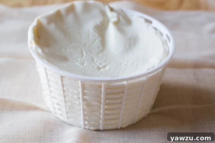 A close-up shot of fresh basket cheese, showing its distinctive texture and the basket pattern on its surface, a key ingredient for Italian Easter Pie.