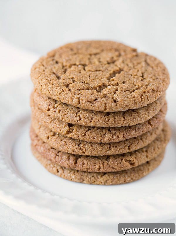 Soft and Chewy Molasses Cookies