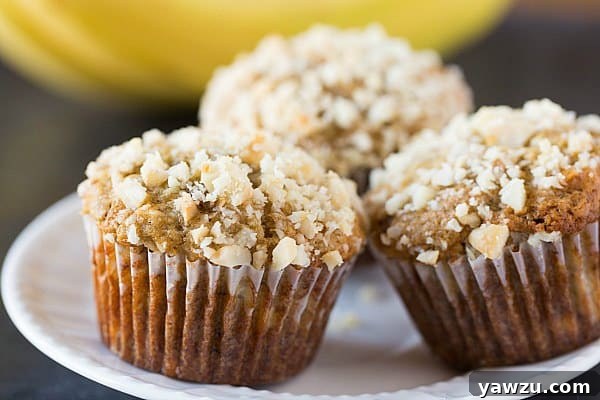 Banana-Macadamia Nut Muffins