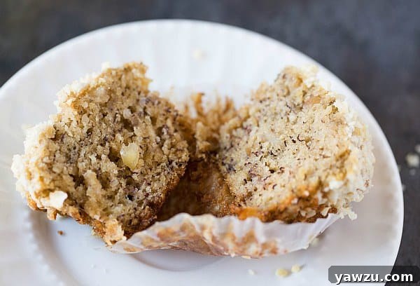 Banana-Macadamia Nut Muffins