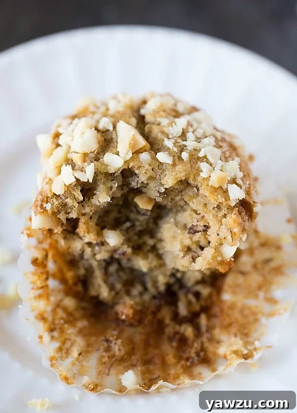 Banana-Macadamia Nut Muffins