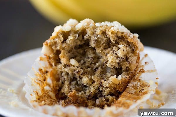 Banana-Macadamia Nut Muffins