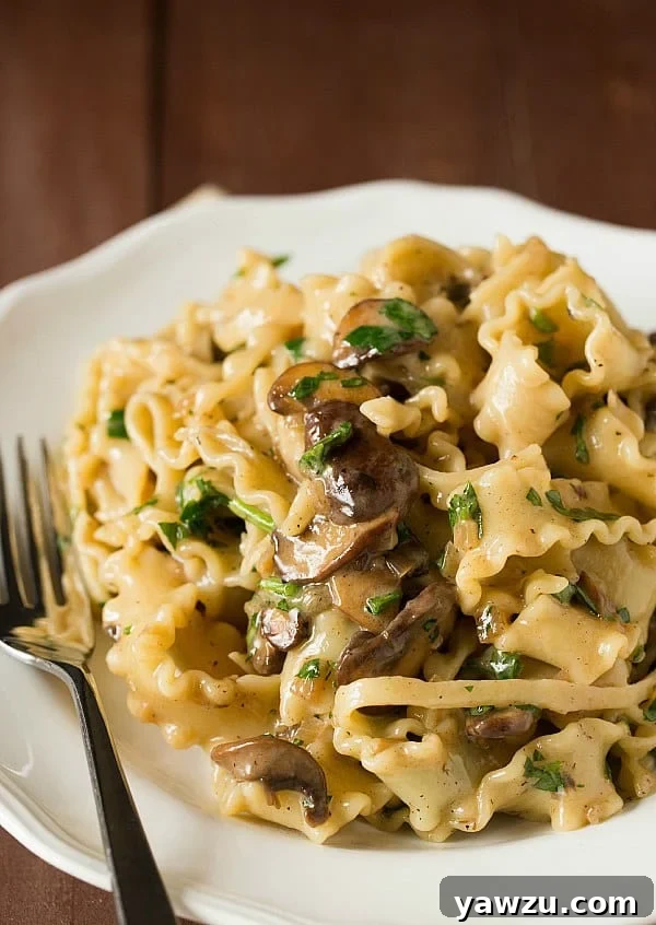 Creamy Mushroom Fontina Pasta, featuring wide mafalda noodles and a rich, velvety sauce