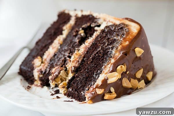 Snickers Cake Layer Close-up: Chocolate, Nougat, Caramel