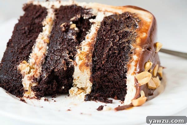 Snickers Cake Garnished with Caramel and Peanuts