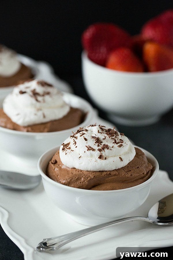 Homemade Dark Chocolate Mousse in a Bowl