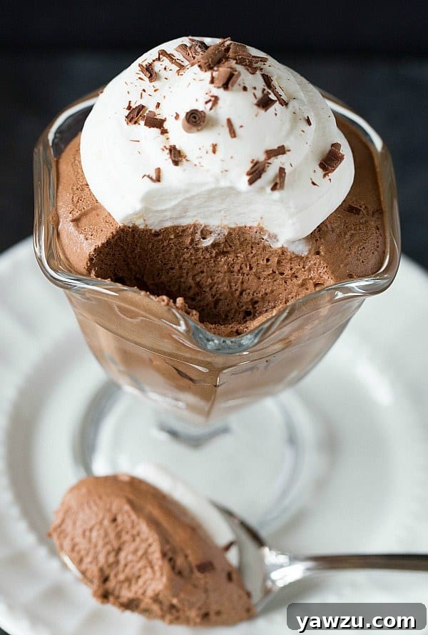 Individual Servings of Dark Chocolate Mousse with Whipped Cream