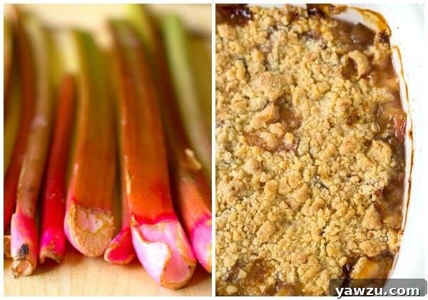 Simple and Delicious Rhubarb-Ginger Crumble Ready for Baking