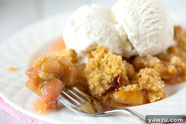 Serving suggestion for Rhubarb-Ginger Crumble with ice cream