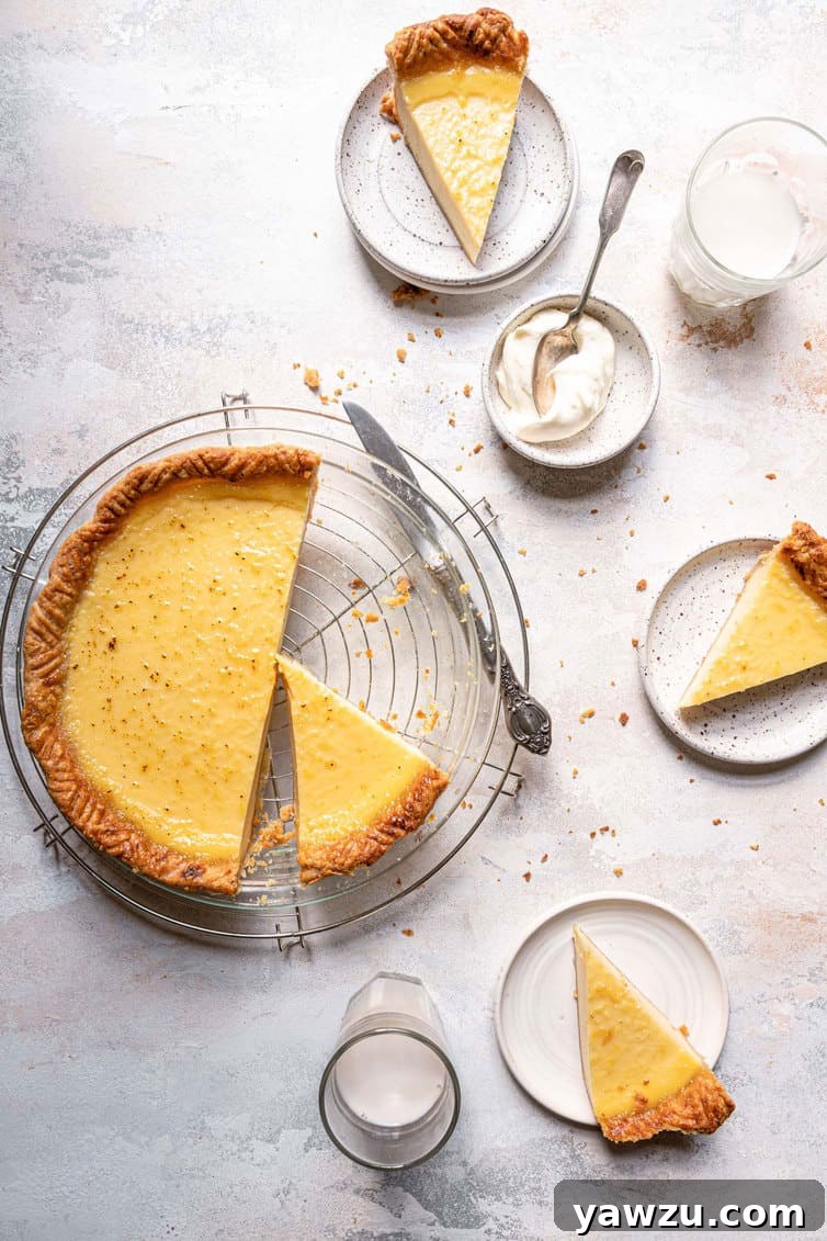 Overhead photo of buttermilk pie sliced with pieces plated.