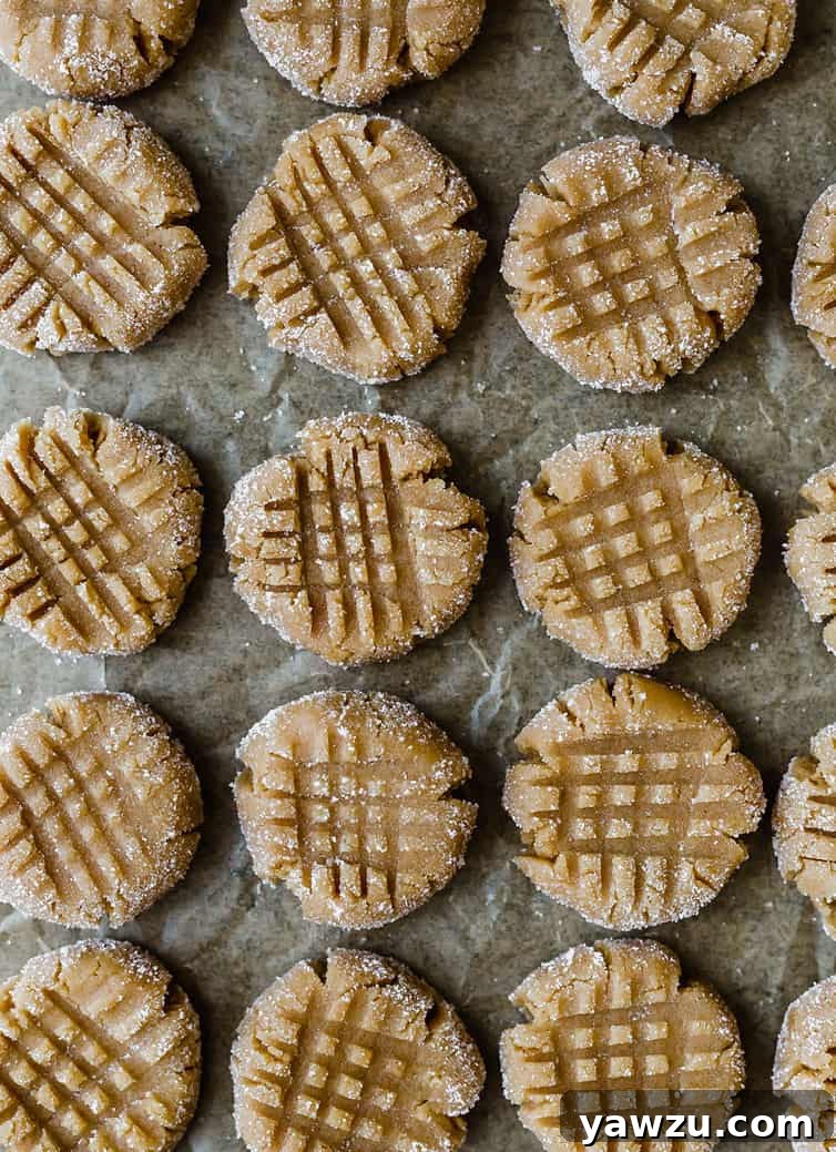 An overhead photo of freshly baked peanut butter cookies cooling on a wire rack, golden brown and perfectly round with distinct crisscross marks.