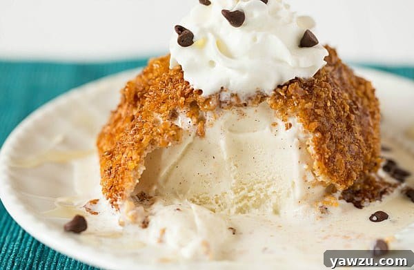 Fried Ice Cream with toppings