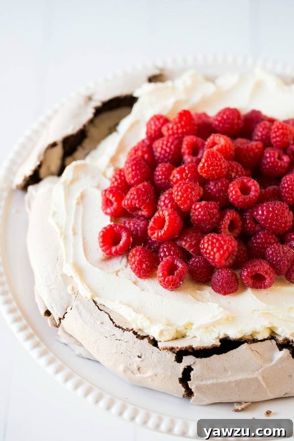 Side view of Chocolate Pavlova with Mascarpone Whipped Cream and Raspberries, showing layers