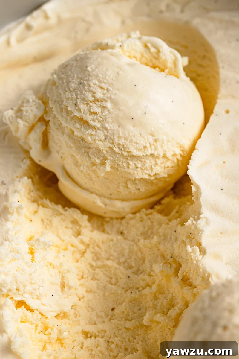 Single scoop of vanilla ice cream scooped and still sitting in container of homemade ice cream.