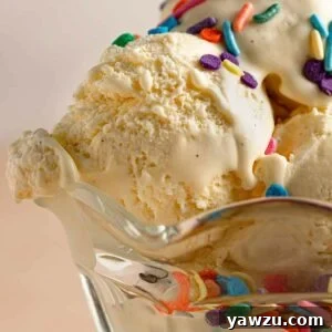 Homemade Vanilla Ice Cream