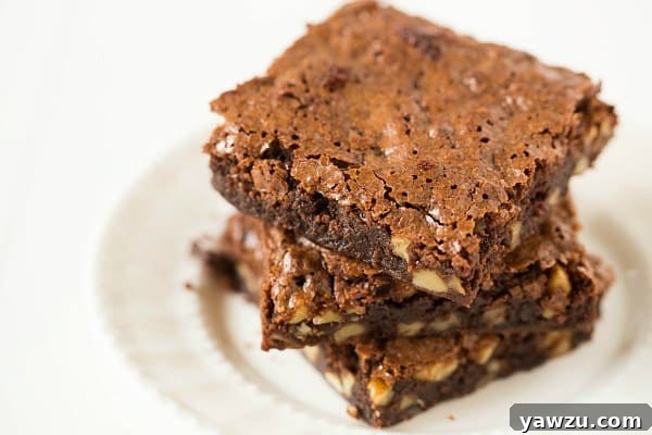 Rich and Chewy Katharine Hepburn Brownies