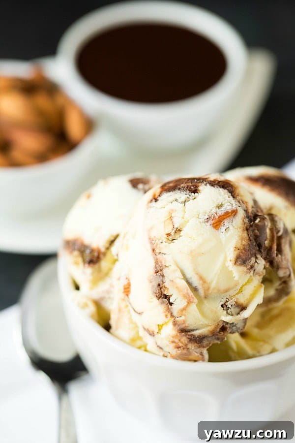 Close-up of Toasted Almond Fudge Ripple Ice Cream, showing the beautiful chocolate swirl