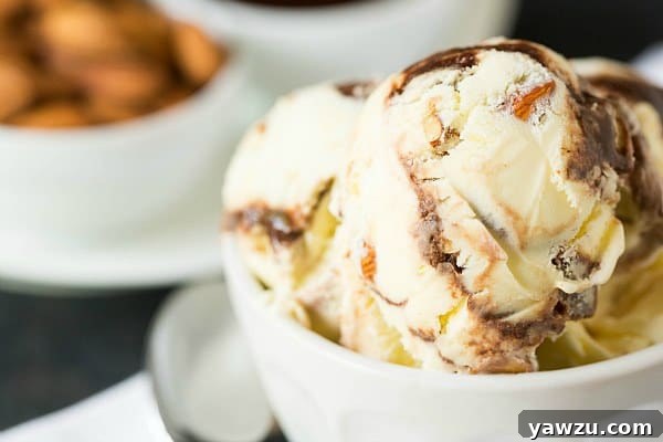 Delicious serving of Toasted Almond Fudge Ripple Ice Cream in a bowl