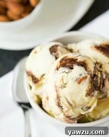 Toasted Almond Fudge Ripple Ice Cream