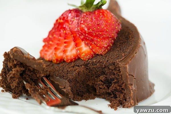 Hand-decorated Chocolate Bundt Cake with Fudge Icing