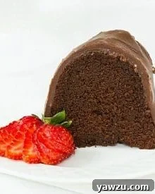 Chocolate Bundt Cake with Chocolate Fudge Icing
