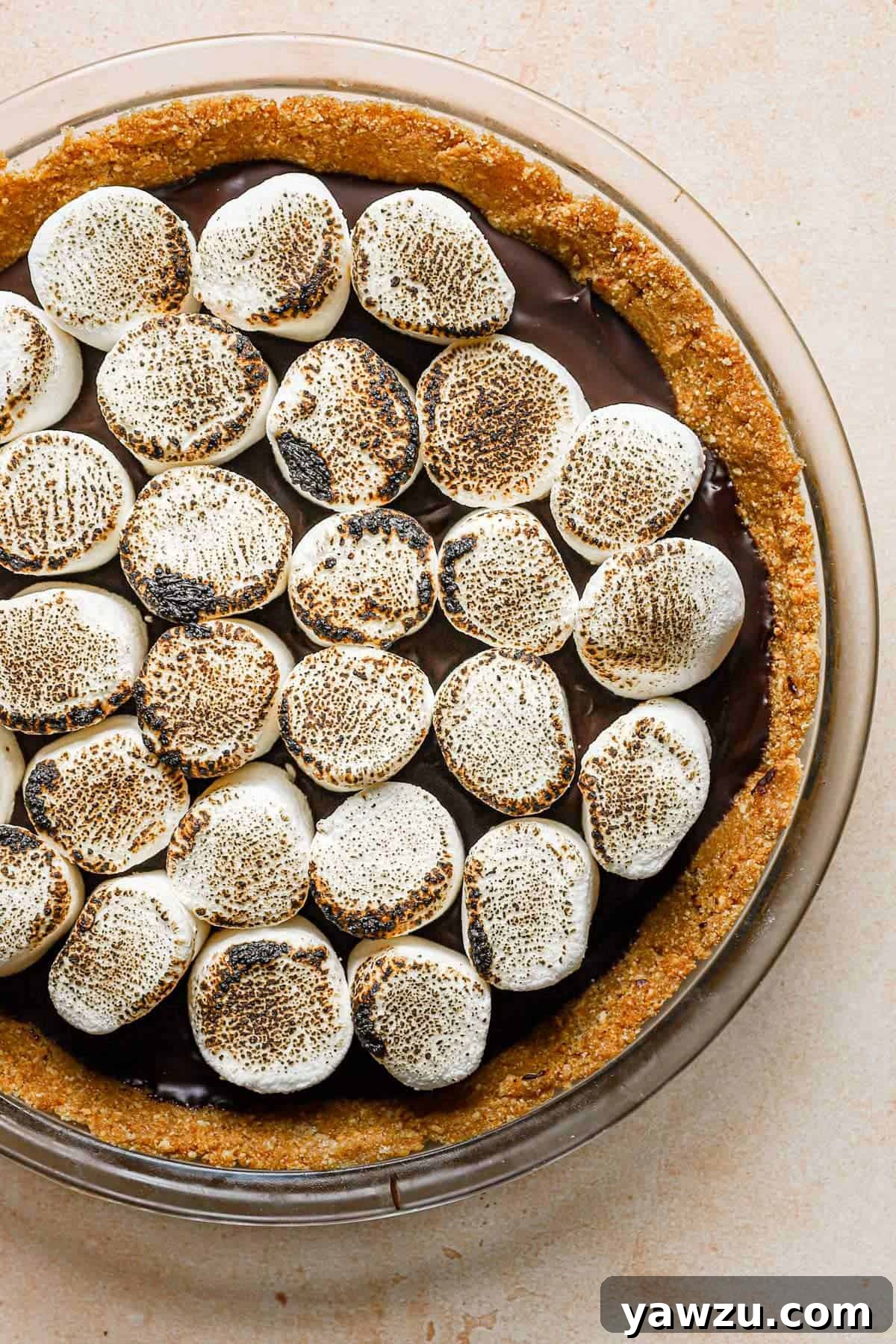 A no bake s'mores pie on a cooking rack on a peach counter.