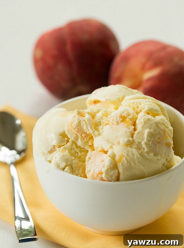 Fresh Peach Ice Cream - A Delightful Summer Dessert