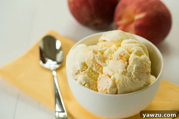 Homemade Fresh Peach Ice Cream with Real Fruit Chunks