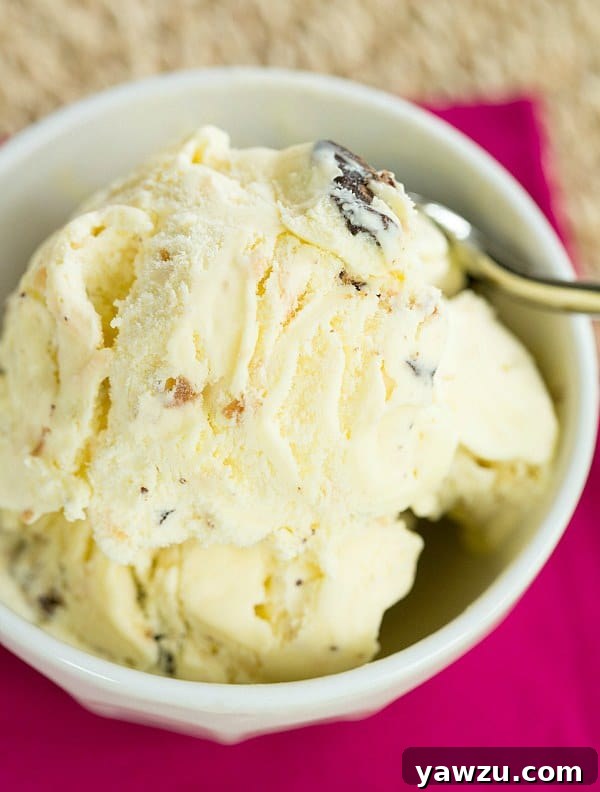 Delicious Toasted Coconut Dark Chocolate Chunk Ice Cream