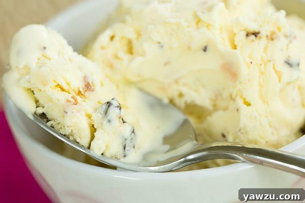 Finely chopped dark chocolate for ice cream