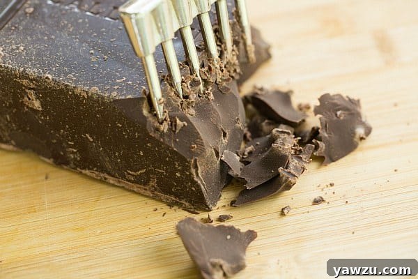 Scoops of Toasted Coconut Dark Chocolate Chunk Ice Cream