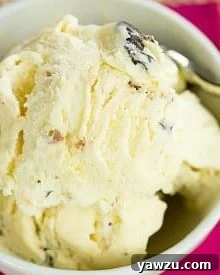 Toasted Coconut Dark Chocolate Chunk Ice Cream thumbnail