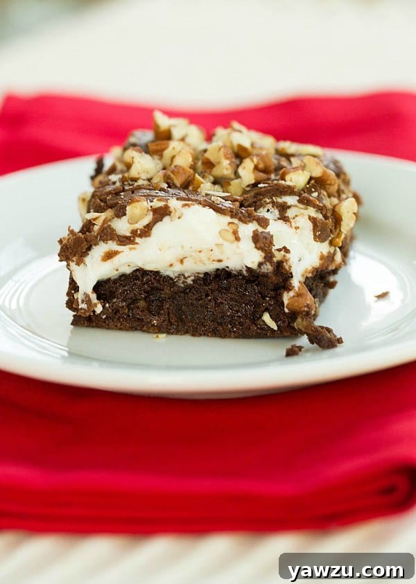 Mississippi Mud Brownies by @browneyedbaker :: www.browneyedbaker.com
