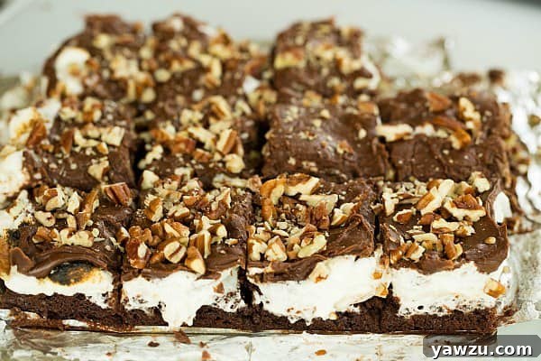 Mississippi Mud Brownies by @browneyedbaker :: www.browneyedbaker.com