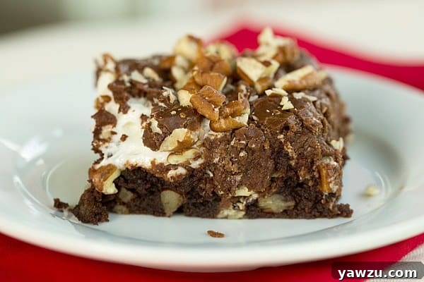 Mississippi Mud Brownies by @browneyedbaker :: www.browneyedbaker.com