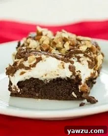 Close-up of a Mississippi Mud Brownie with toasted marshmallows and chocolate icing.
