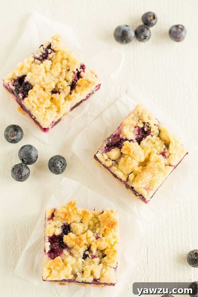 An overhead view of three golden-brown blueberry crumb bars, ready to be enjoyed