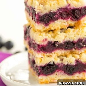 Blueberry Crumb Bars - A big stack waiting for your summer party!