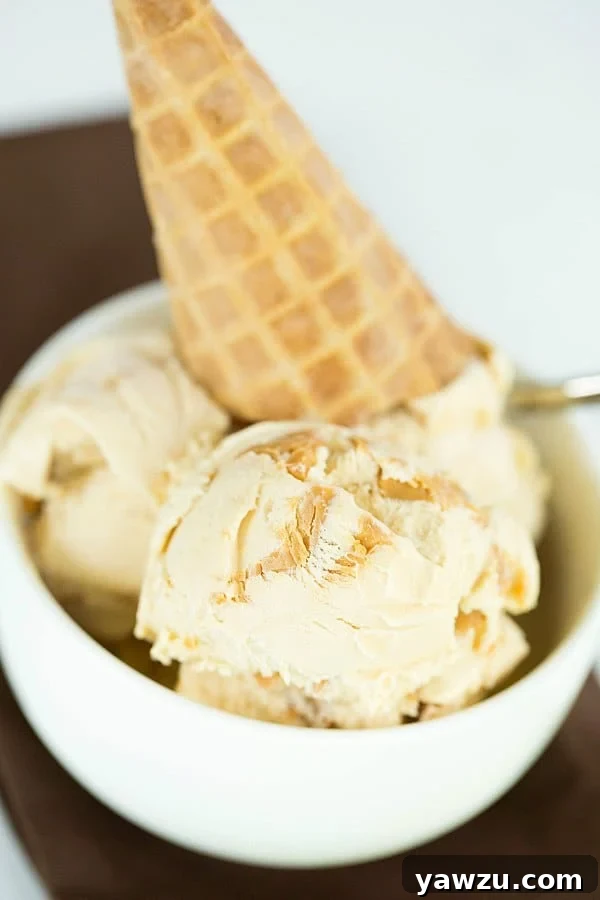 Rich and creamy homemade peanut butter ice cream with a luscious peanut butter swirl, perfect for any peanut butter enthusiast.