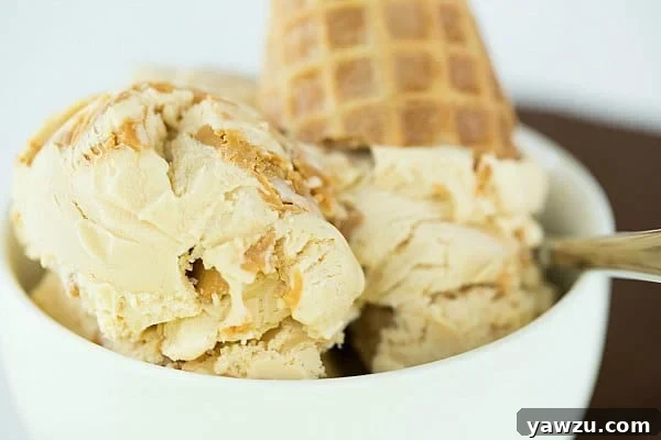 A scoop of homemade peanut butter ice cream, showcasing its appealing texture and readiness for serving.