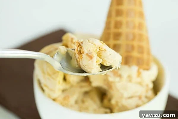 Close-up of a serving of homemade peanut butter ice cream, inviting a taste.
