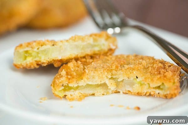 Fried Green Tomatoes Recipe by @browneyedbaker :: www.browneyedbaker.com