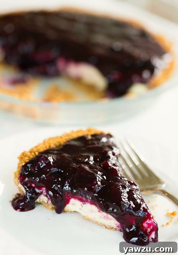 Lush Blueberry Cheesecake Pie, freshly baked and ready to enjoy