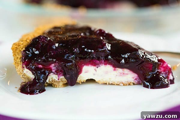 A close-up shot of the stunning Blueberry Cheesecake Pie