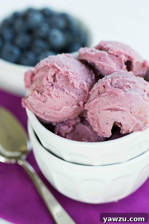 Blueberry Buttermilk Sherbet - A refreshingly tangy and sweet homemade frozen dessert perfect for summer.