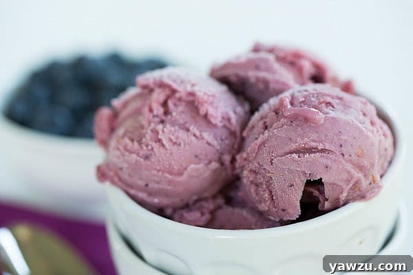 A bowl of freshly churned Blueberry Buttermilk Sherbet, ready to be frozen.