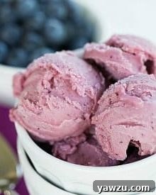 Blueberry Buttermilk Sherbet