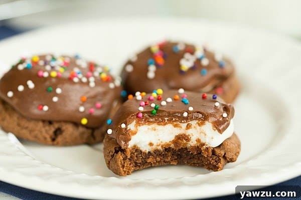 Delicious Chocolate Peanut Butter Marshmallow Cookies