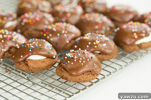 Soft and Chewy Chocolate Peanut Butter Cookies with Melty Marshmallow
